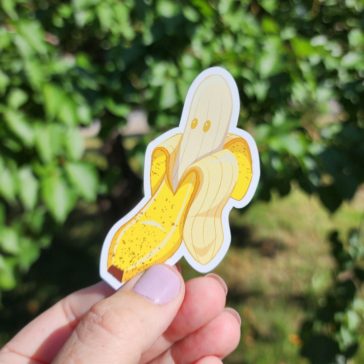 Banana  |  Magnet