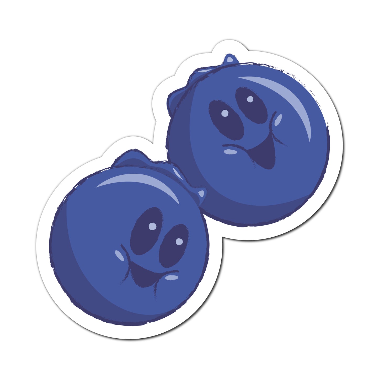 Blueberry  |  Magnet