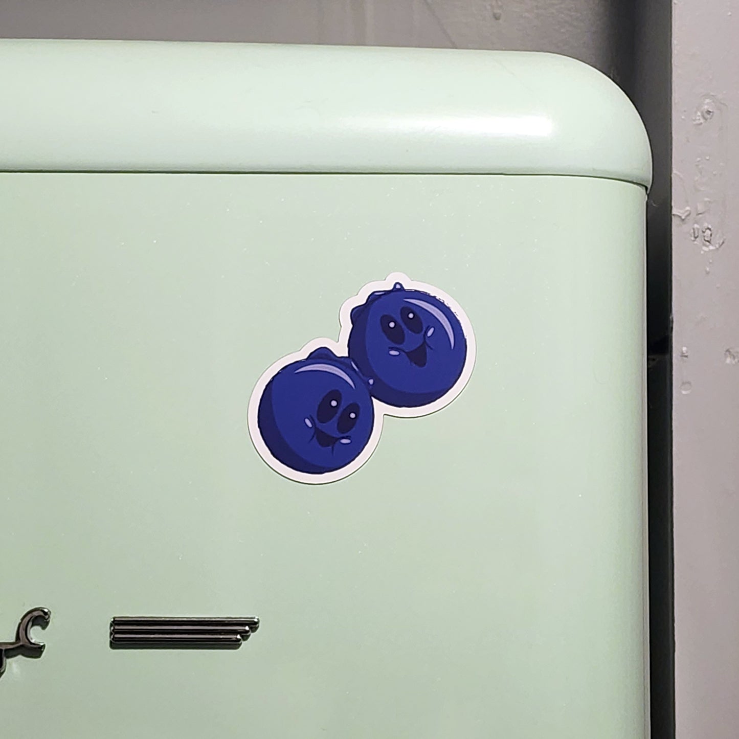 Blueberry  |  Magnet