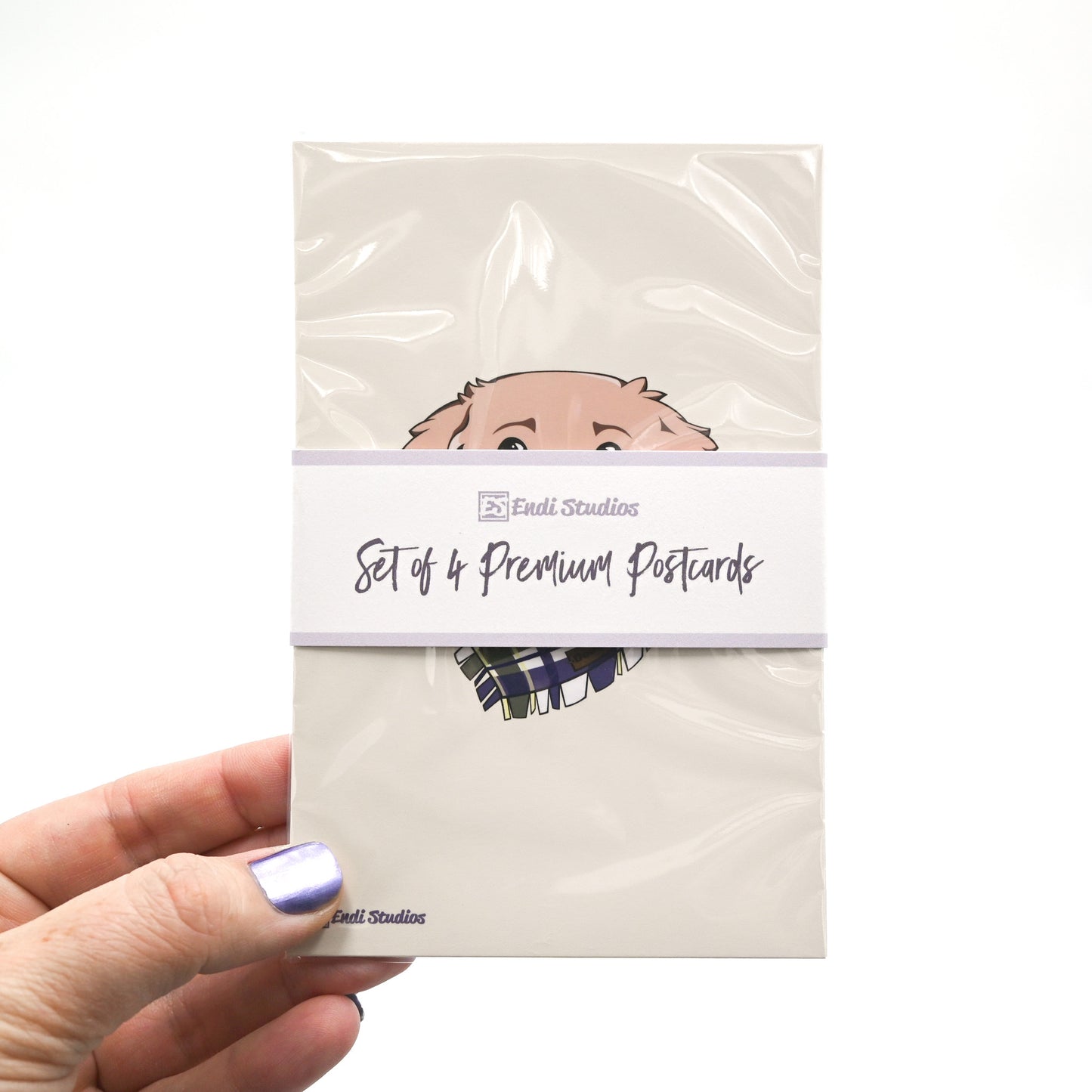 Pets Collection Postcards | Set of 4