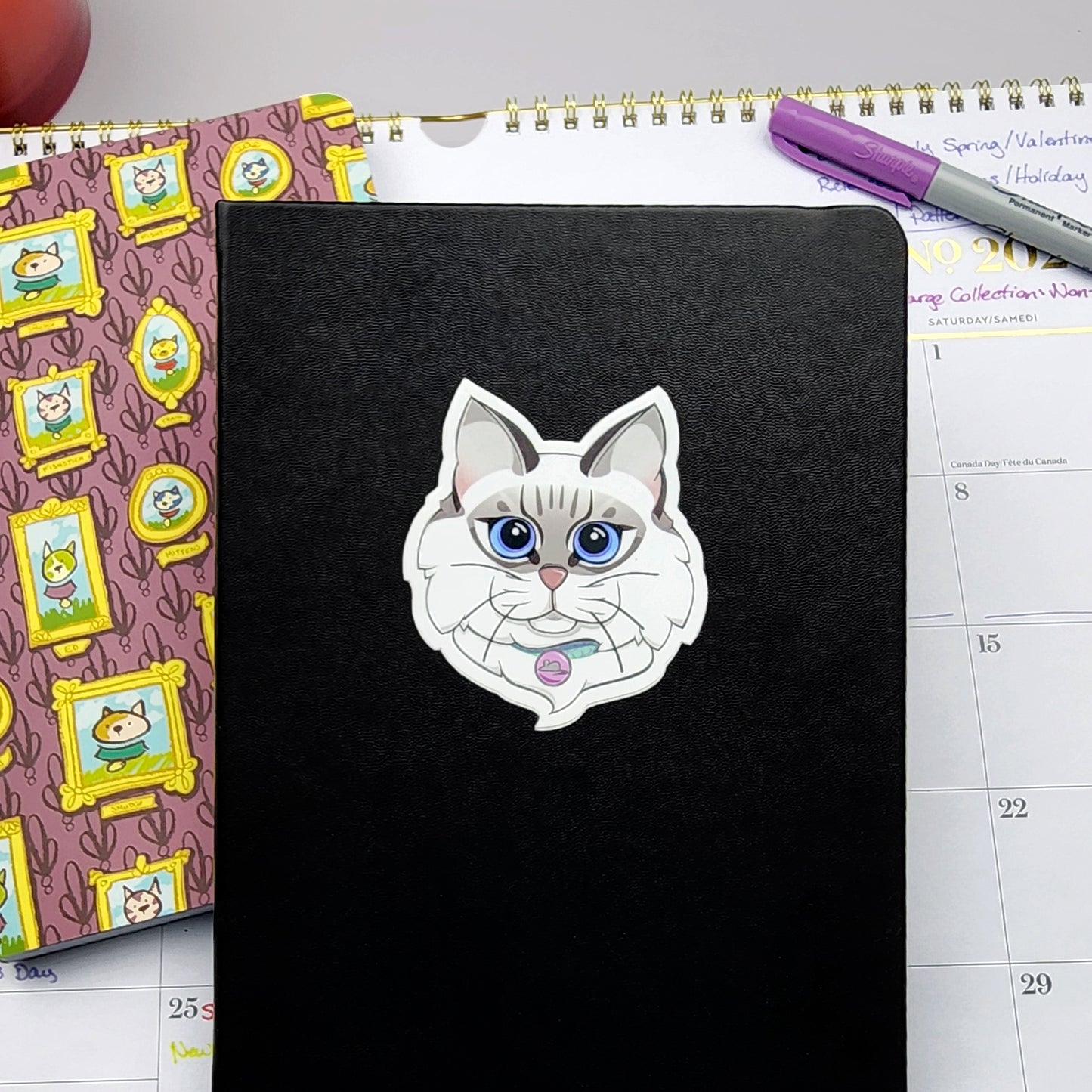 Ragdoll Cat  |  Vinyl Sticker