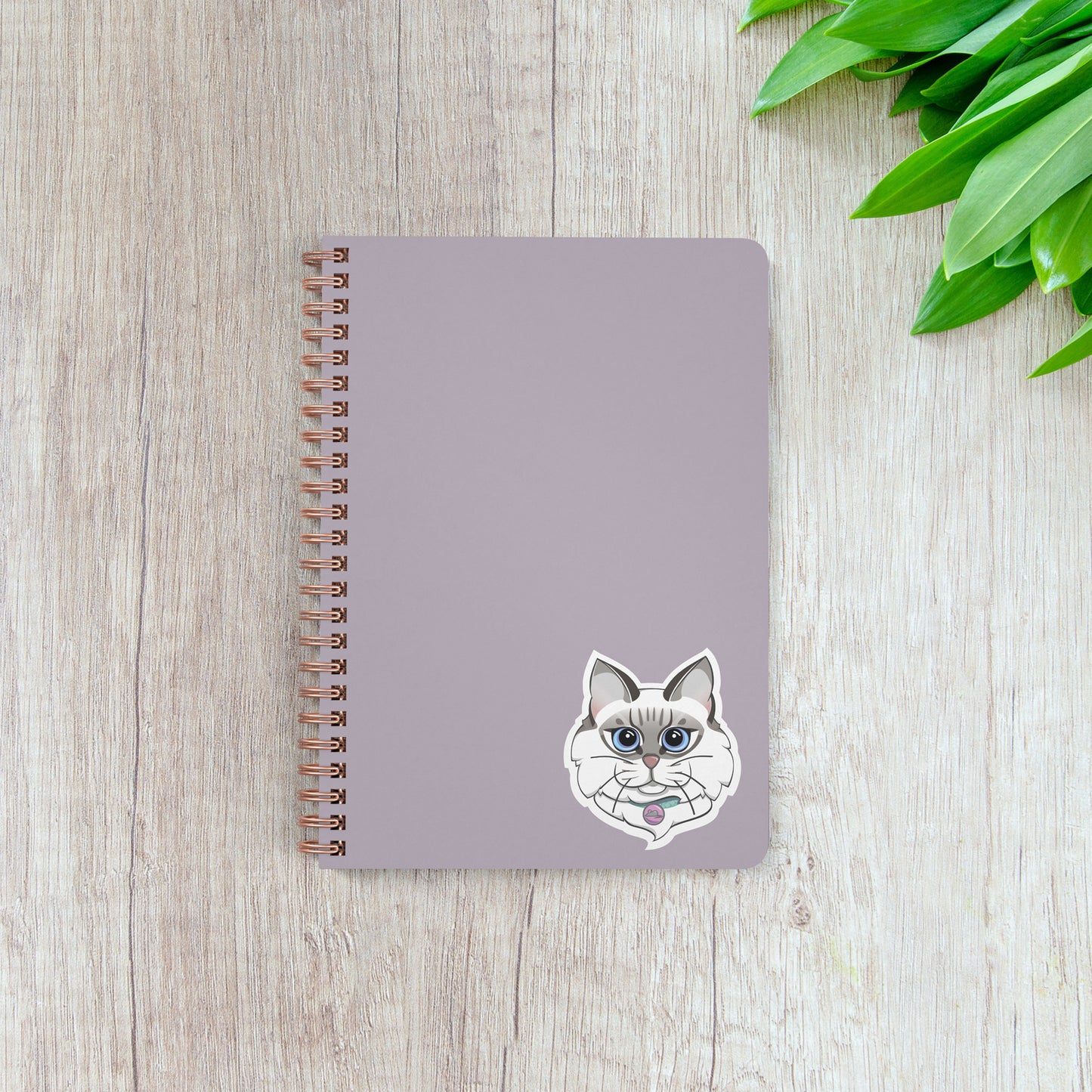 Ragdoll Cat  |  Vinyl Sticker