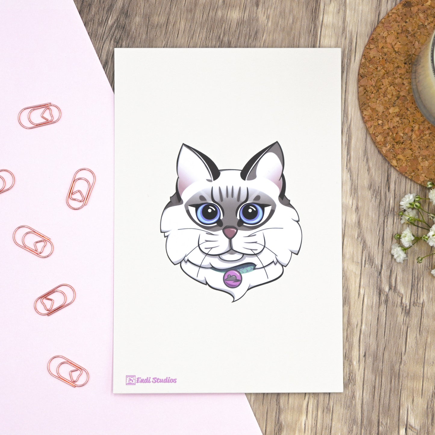 Pets Collection Postcards | Set of 4