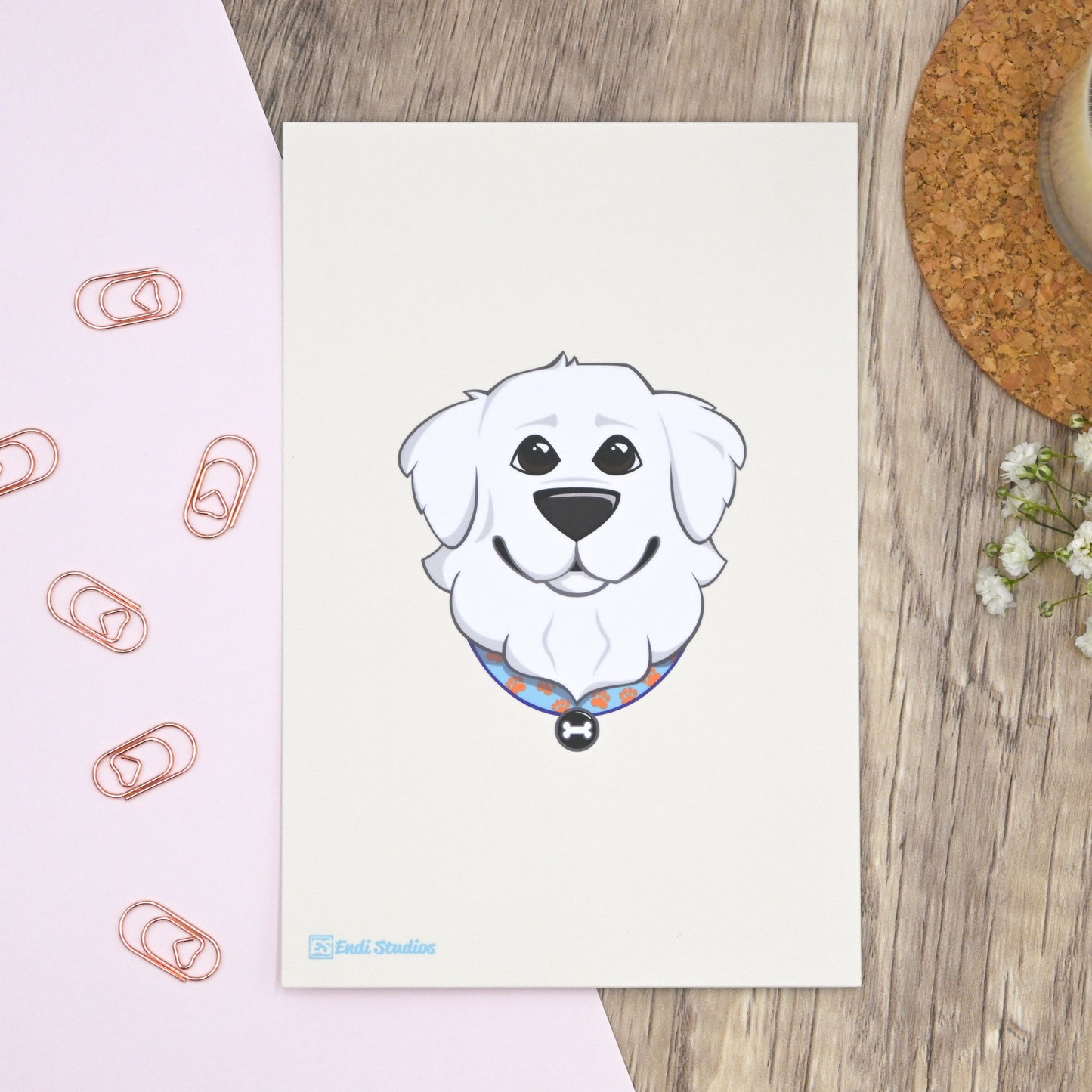 Pets Collection Postcards | Set of 4