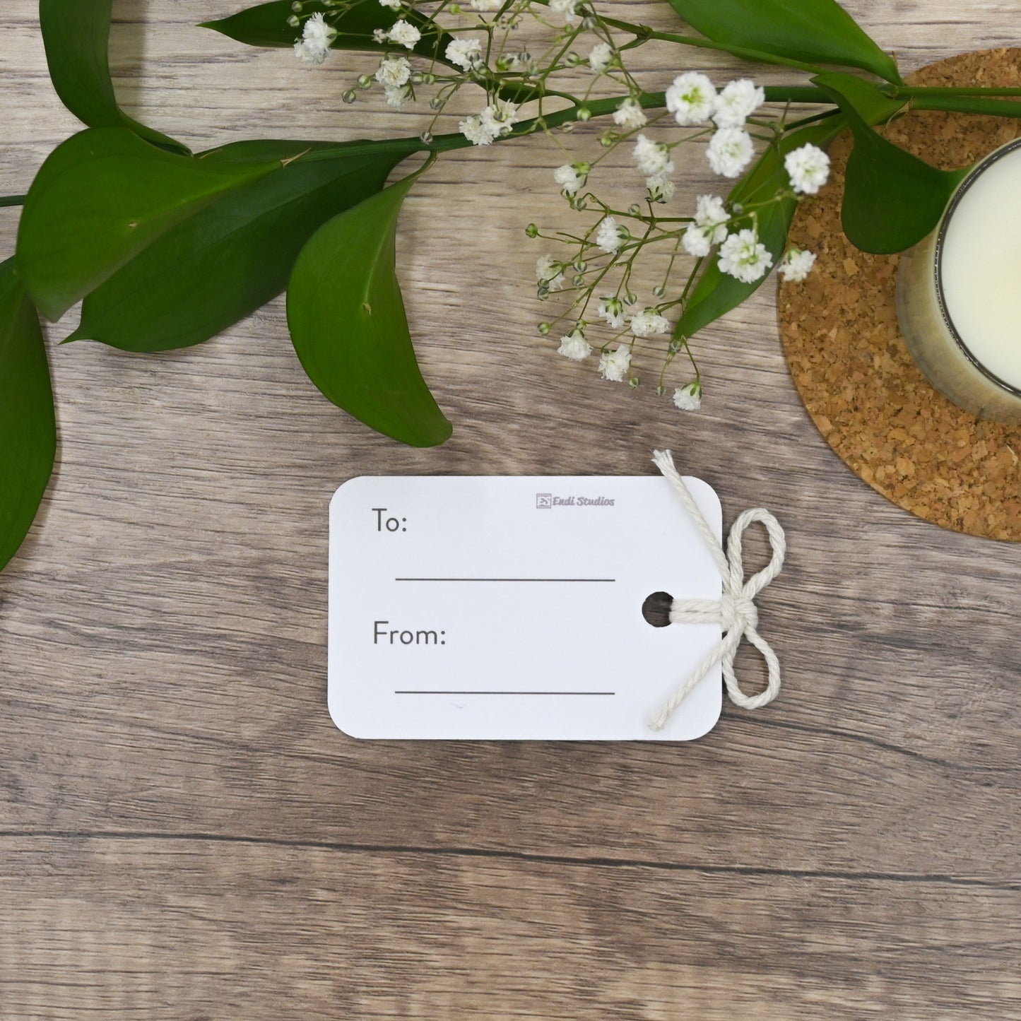 Dino Fiesta Gift Tags | Set of 12 Tags
