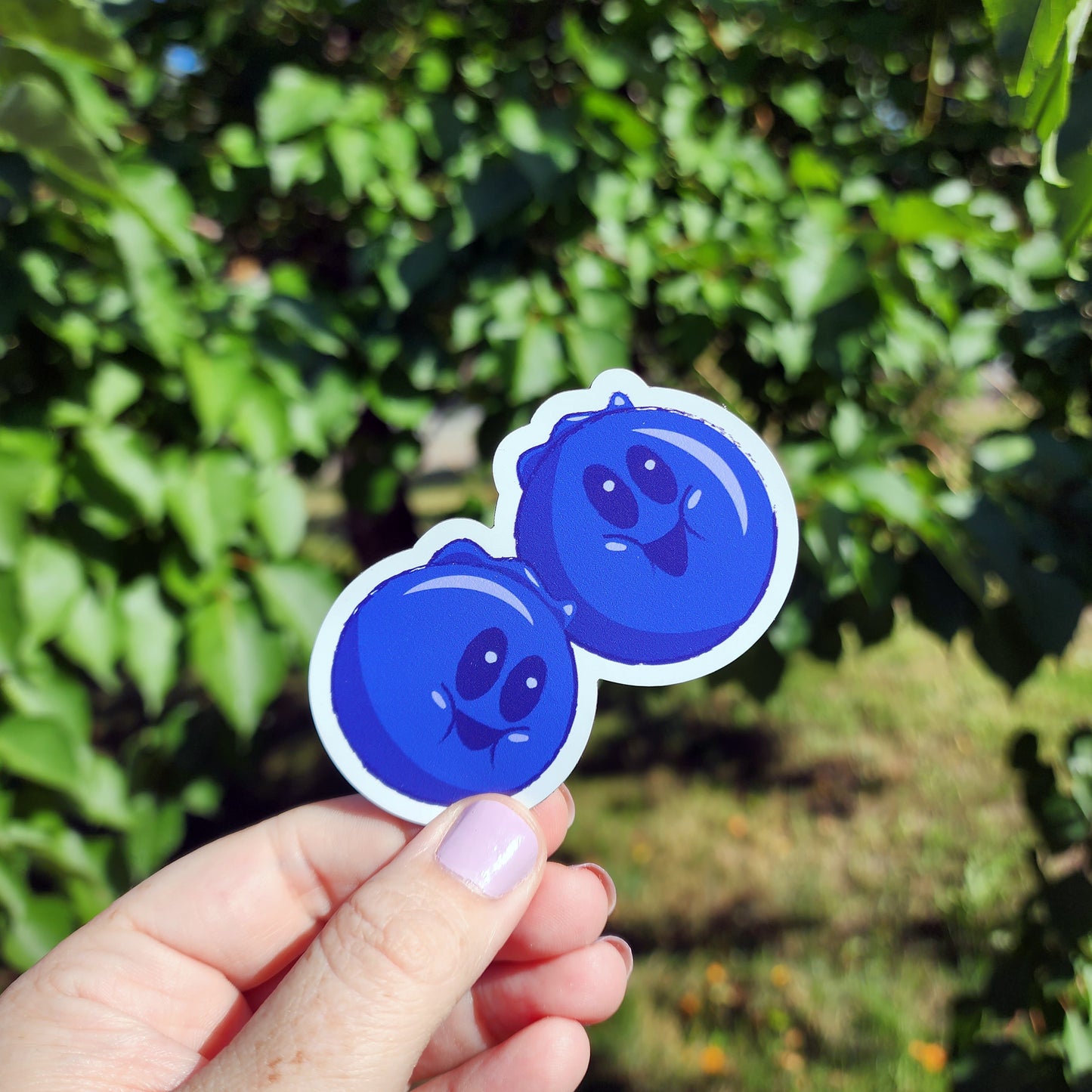 Blueberry  |  Vinyl Sticker
